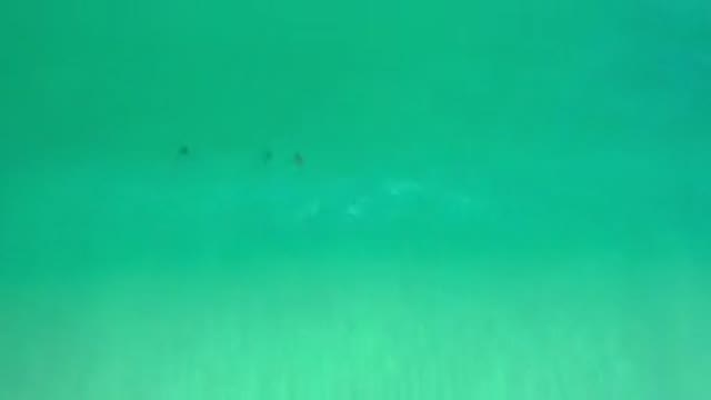 LOS CABOS MEXICO-2020: Green Sea Waves Sun Reflection Summer Moving Water Tide