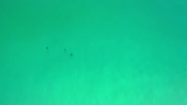 LOS CABOS MEXICO-2020: Three Objects Floating On Blue Green Water