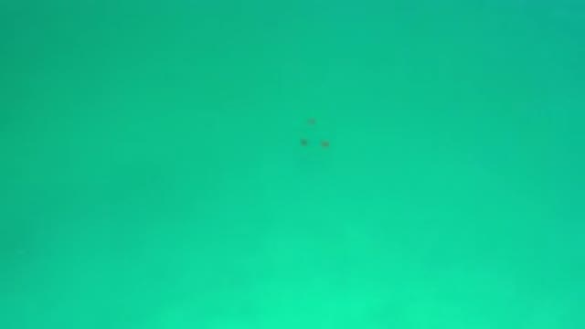 LOS CABOS MEXICO-2020: Still Blue Pool Water Unloving