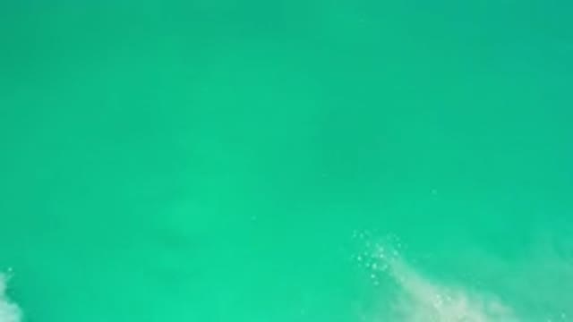 LOS CABOS MEXICO-2020: Wet Water Green Relax Fish Dive Ocean Sea Rocks Clear