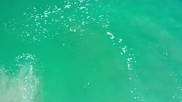 LOS CABOS MEXICO-2020: Diving Immersed in Calm and Serene High Seas