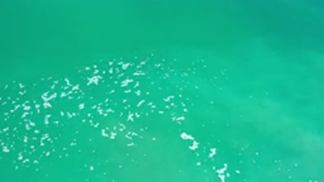 LOS CABOS MEXICO-2020: White Spume Floats On A Calm Peaceful Blue Green Ocean