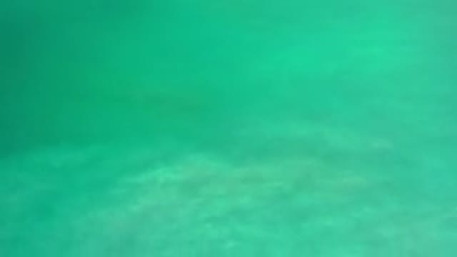 LOS CABOS MEXICO-2020: Aerial View of Sea and Coastal Landscape