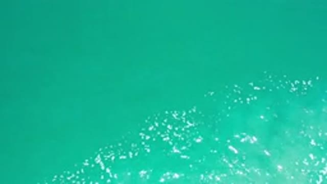 LOS CABOS MEXICO-2020: View Of Calm Bright Green Sea On A Sunny Day