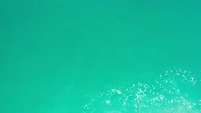 LOS CABOS MEXICO-2020: Green Colored Water With Bubbles
