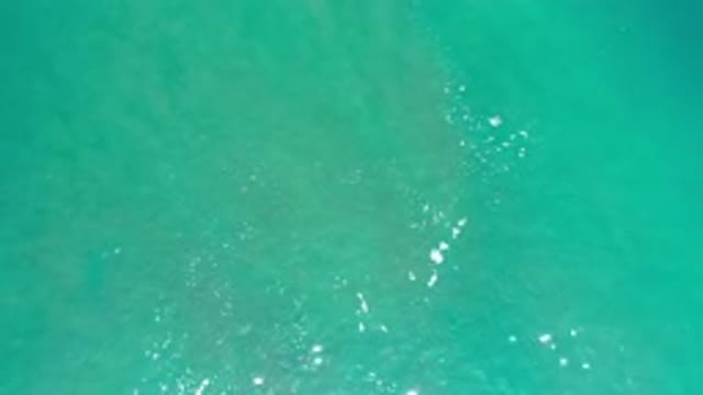 LOS CABOS MEXICO-2020: Sun Kissed Crystal Clear Green Seas With Calm Waves And Sea Foam