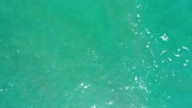 LOS CABOS MEXICO-2020: Purest Sea And Warmest Sea In Los Cabos Mexico From A