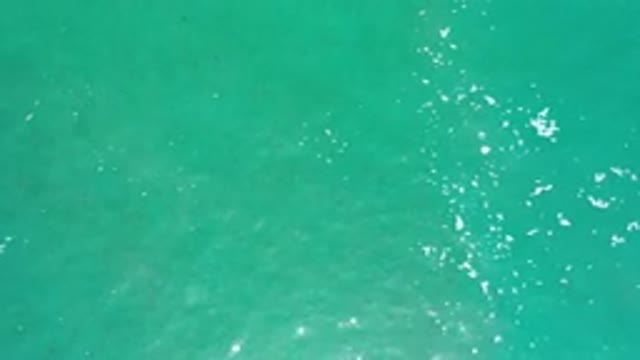 LOS CABOS MEXICO-2020: Light White Foam On The Surface Of The Sea