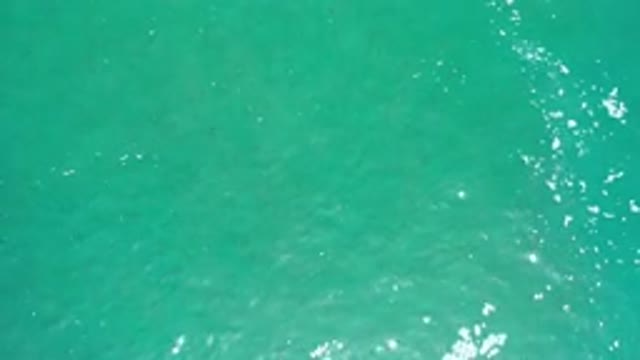 LOS CABOS MEXICO-2020: Footage Of A Greenish Blue Water On A Sunny Day