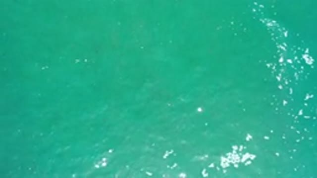 LOS CABOS MEXICO-2020: A Beautiful And Clear Ocean
