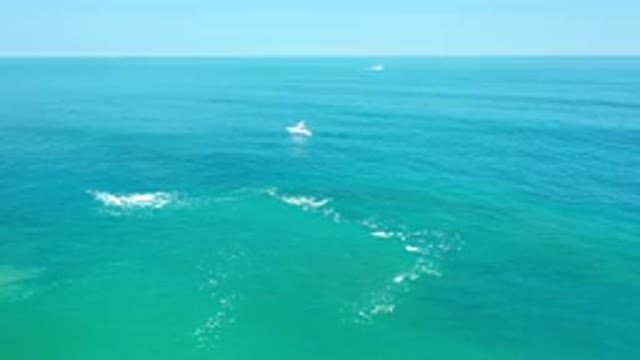 LOS CABOS MEXICO-2020: Something Floating On Top Of The Teal Ocean Water Along