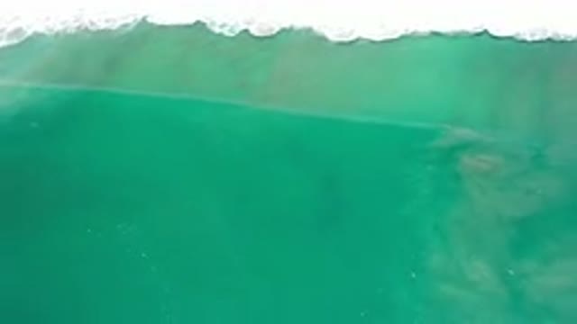 LOS CABOS MEXICO-2020: Light Blue Water Near Shoreline