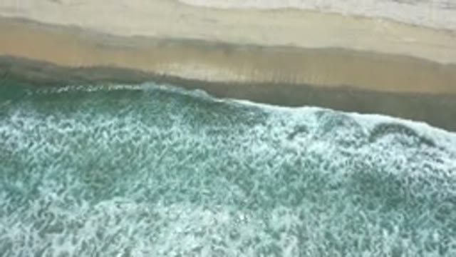 LOS CABOS MEXICO-2020: The Green Sea And The Sand