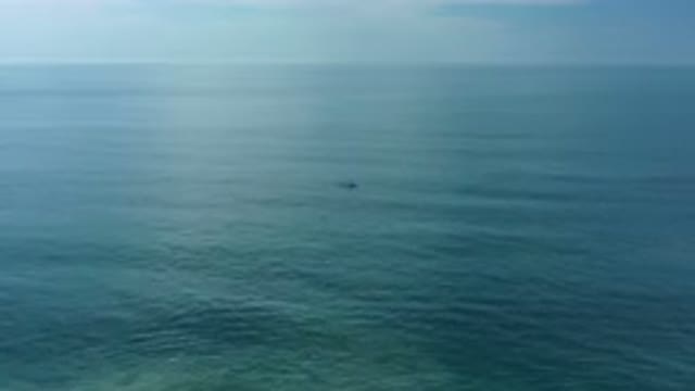 LOS CABOS MEXICO-2020: Immersed In The High Seas