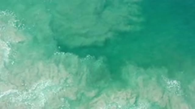 LOS CABOS MEXICO-2020: The Bottom Of The Sea