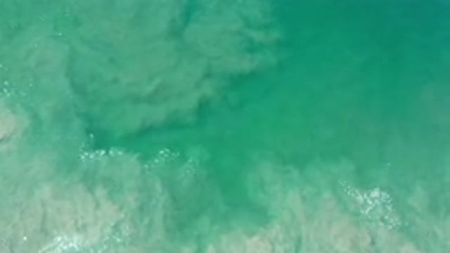 LOS CABOS MEXICO-2020: Green Water No Land Sea