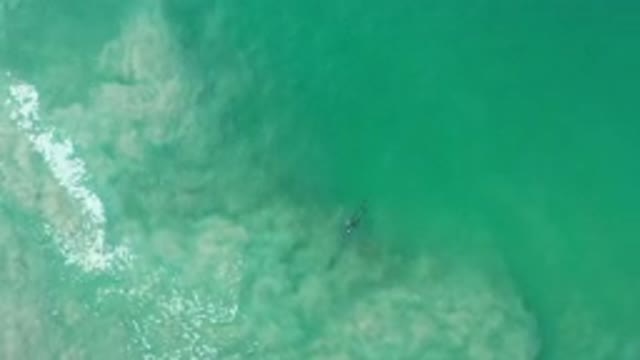 LOS CABOS MEXICO-2020: The Flow Of The Ocean