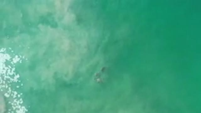 LOS CABOS MEXICO-2020: Greenish Blue Water With Some Dirt Just Beneath The Surface