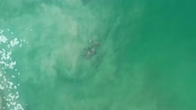 LOS CABOS MEXICO-2020: People Who Love The Water And They Are United