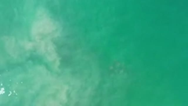 LOS CABOS MEXICO-2020: Overview Of A Turquoise Hued Body Of Water Dappled With