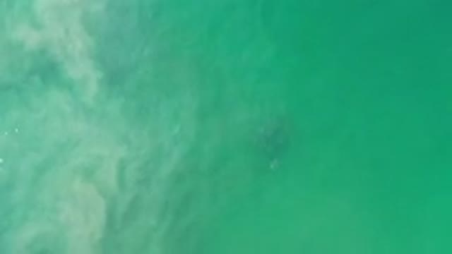 LOS CABOS MEXICO-2020: Green Colored Water With Top View