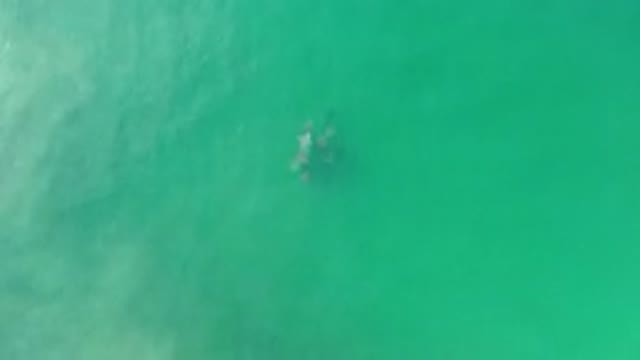 LOS CABOS MEXICO-2020: Clear And Green Ocean Waves
