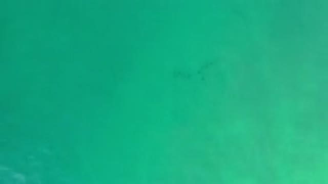 LOS CABOS MEXICO-2020: An Underwater View Of A Very Green Body Of Water