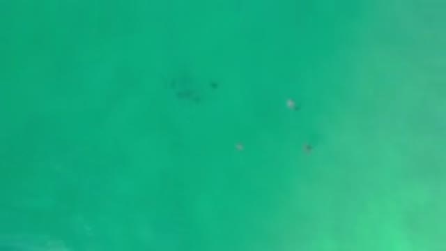 LOS CABOS MEXICO-2020: Shadows In The Middle Of An Incredible Blue Sea With Calm