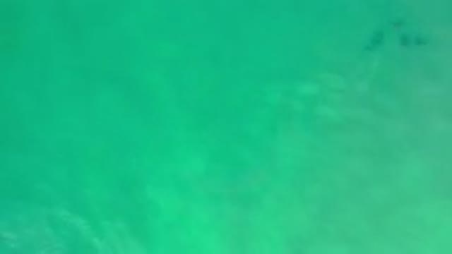 LOS CABOS MEXICO-2020: A Beautiful Wide Open Beach