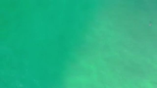 LOS CABOS MEXICO-2020: Three People Swimming Through Large Green Ocean Waves