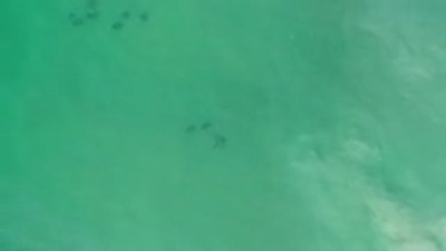 LOS CABOS MEXICO-2020: Ocean And The Waves And The Cool Breeze
