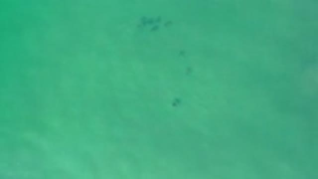 LOS CABOS MEXICO-2020: Aerial View of Green Ocean Water Moving and Changing