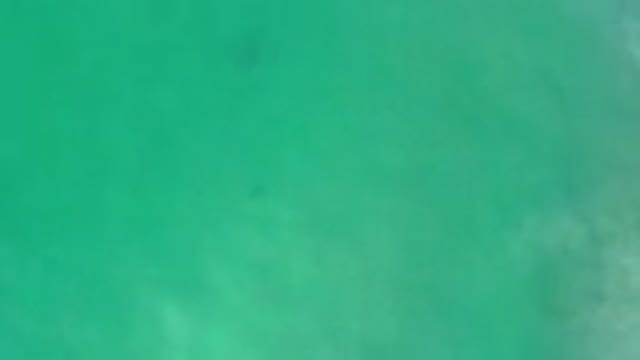 LOS CABOS MEXICO-2020: Green Ocean With Coral Underwater