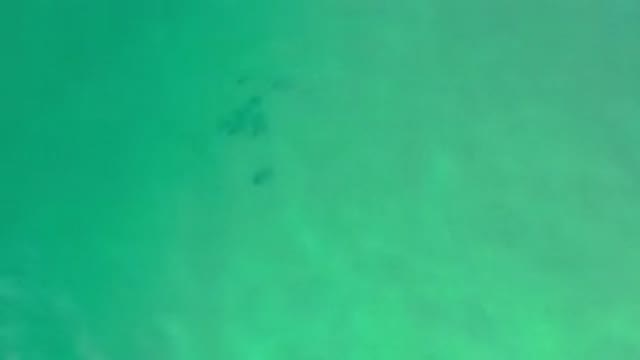 LOS CABOS MEXICO-2020: Overhead View Of Water
