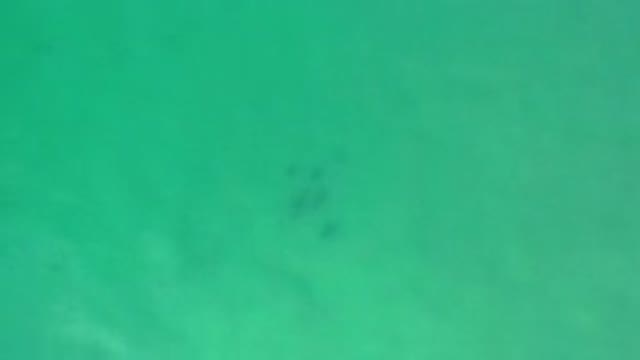 LOS CABOS MEXICO-2020: The Greenish Blue Liquid Flowing Across the Screen