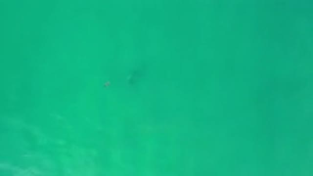 LOS CABOS MEXICO-2020: A Man Sewing in Sea Water to Enjoy Climate