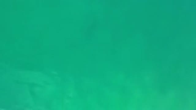 LOS CABOS MEXICO-2020: Water In Green Sea Water