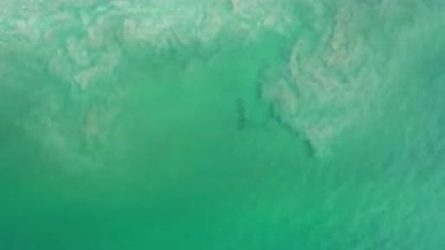 LOS CABOS MEXICO-2020: White Froth Moving Over Calm Green Ocean Water During The Day