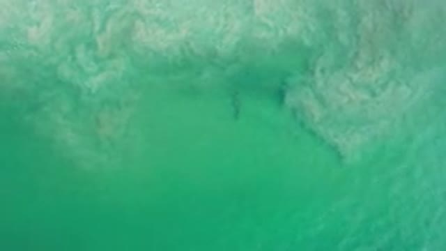 LOS CABOS MEXICO-2020: Clouds Of Sand Begin To Settle As They Were Stirred In A