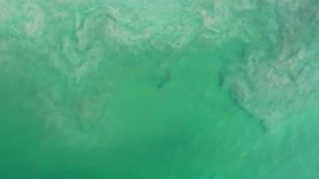 LOS CABOS MEXICO-2020: Sky View Of Green Ocean Waves Over The Rocky Reef