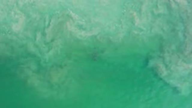 LOS CABOS MEXICO-2020: Green Blue Rolling Waves And Dark Object Under The Water