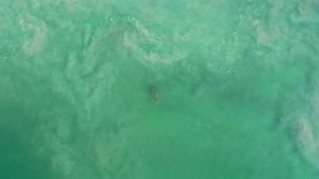 LOS CABOS MEXICO-2020: Green Deep Sea During A Warm Day in Mexico