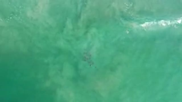 LOS CABOS MEXICO-2020: The Waves Of The Sea