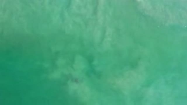 LOS CABOS MEXICO-2020: Sky View Of The Clean And Clear Green Ocean Waves Calmly