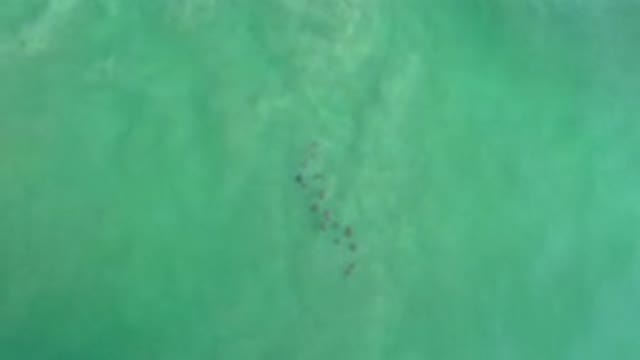 LOS CABOS MEXICO-2020: Upper View of Calm Green Waving Sea Water Waves