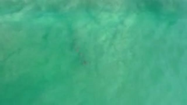 LOS CABOS MEXICO-2020: Large Turquoise Wave Engulfs Small Island As It Rolls