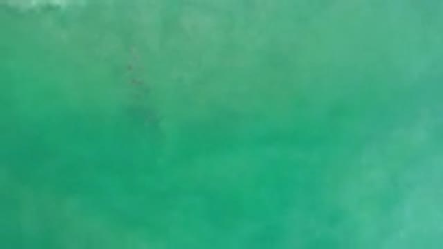 LOS CABOS MEXICO-2020: A Beautiful Clear Ocean Water