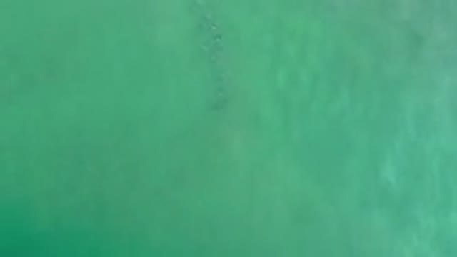 LOS CABOS MEXICO-2020: Amazing Green Sea Waves
