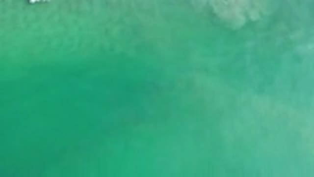 LOS CABOS MEXICO-2020: Clear Green Ocean View