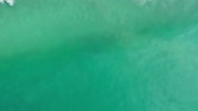 LOS CABOS MEXICO-2020: Green Sea Waves Crashing On Shore